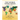 East and Southeast Asia 2024-2025