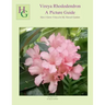 Vireya Rhododendron A Picture Guide: How I Grow Vireya In My Hawaii Garden