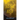 Root Rot