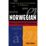 Norwegian Verbs and Essentials of Grammar (H/C)