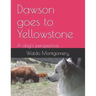Dawson goes to Yellowstone
