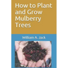 How to Plant and Grow Mulberry Trees