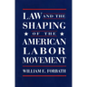 Law and the Shaping of the American Labor Movement