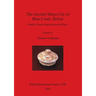 The Ancient Maya City of Blue Creek, Belize: Wealth, Social Organization and Ritual