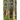 Native Trees of Western Washington: A Photographic Guide