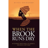 When the Brook Runs Dry: My Journey From Africa to America... and Back a Few Times