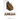 The Rudiments of Jumuah: Explained by Shaikh Muhammad Abdur-Rahman Mubarakpuri[1353h]