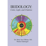 Iridology: Color, Light, and the Chakras: A Simple Guide to Chakra Healing via the Iris