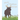 Mark the Manitoba Moose