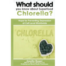 What should you know about Superfood Chlorella?: Hope for Preventing Depression at Cell Level Worldwide