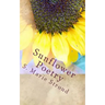 Sunflower Poetry: Seeds for the Soul