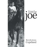 Little Joe