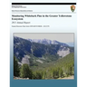 Monitoring Whitebark Pine in the Greater Yellowstone Ecosystem: 2011 Annual Report