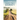 Country Boy's Journey
