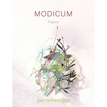 Modicum: Poems