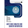 White Noise Analysis and Quantum Information