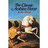 Classic Arabian Horse
