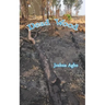 Dead Wood