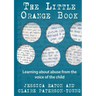 The Little Orange Book: Learning about abuse from the voice of the child