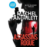 Assassins Rogue