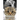 Gone, Kitty, Gone