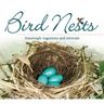 Bird Nests: Amazingly Ingenious and Intricate