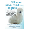 Silkies or Silkie Chickens as Pets. Silkie Bantams Facts, Raising, Breeding, Care, Food and Where to Buy All Covered. Including Black, White, Chinese