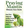 Praying Mantis Ultimate Care Guide