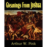 Gleanings from Joshua
