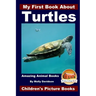 My First Book About Turtles - Amazing Animal Books - Children's Picture Books