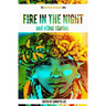 Fire In The Night and Other Stories: The 2014 Writivism Anthology