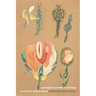 Surrealist Women's Writing: A Critical Exploration