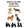 Getting Even More Help from Your Dogs: More Ways to Gain Insights, Advice, Power and Other Help Using the Dog Type System