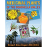 Medicinal Plants Of The Coachella Valley