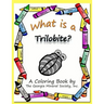 What Is a Trilobite?: A Coloring Book by the Georgia Mineral Society, Inc.