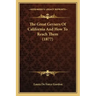 The Great Geysers Of California And How To Reach Them (1877)
