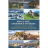 Small Size, Enormous Interest: A Critical Analysis of Andorra, the Faroe Islands, Iceland, Liechtenstein, Luxembourg, Malta, Monaco and San Marino