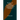 The Master of Appleby; A Novel Tale Concerning Itself in Part with the Great Struggle in the Two Carolinas; but Chiefly with the Adventures Therein of