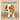My Dog Doobie