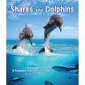 Sharks and Dolphins: A Compare and Contrast Book