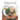 Collection of Diabetic-Friendly Lunch Recipes!: A Collection of Healthy and Tasty Diabetic-Friendly Dishes