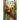 Cutter the Bear