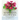 Martha's Flowers: A Practical Guide to Growing, Gathering, and Enjoying