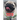 It;s All about the Pug: Pug Life