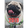 It;s All about the Pug: Pug Life