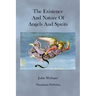 The Existence and Nature of Angels and Spirits