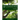 The Overstory Book: Cultivating Connections with Trees, 2nd Edition