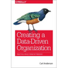 Creating a Data-Driven Organization: Practical Advice from the Trenches