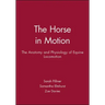 Horse Motion