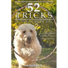 52 Tricks To Teach Your Dog